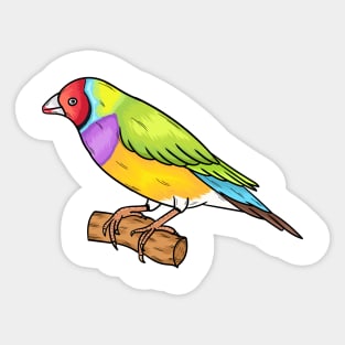 Gouldian finch bird cartoon illustration Sticker